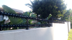 Star Security Spikes