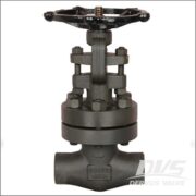 China Forged Valves Co., Ltd.